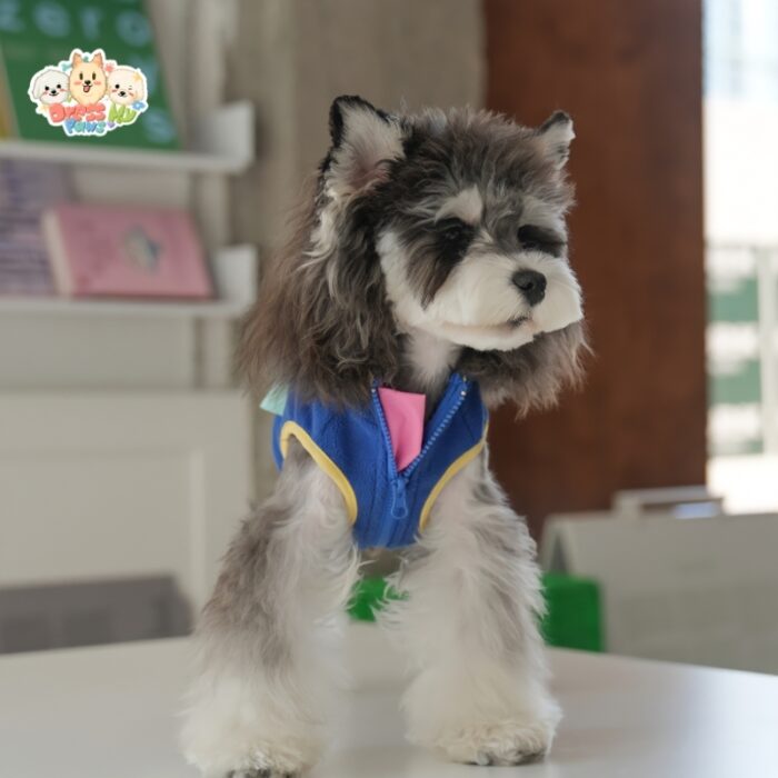 JA2505 34-40 (2) Color Block Dog Vest