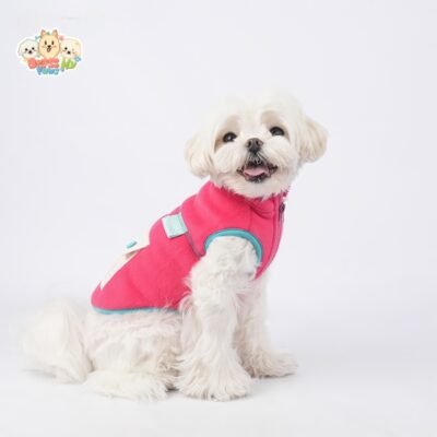 JA2505 34-40 (6) Color Block Dog Vest