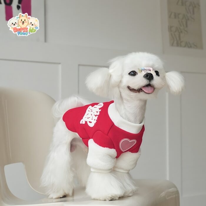 JA2507 49-57 (2) Heart Patch Pet Shirt