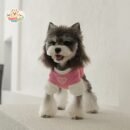Heart Patch Pet Shirt