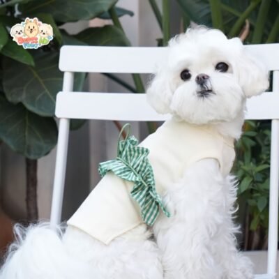 JA2513 95-101 (3) Striped Ruffle Dog Sweater