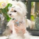 JA2570 47-53 Striped Contrast Dog Vest