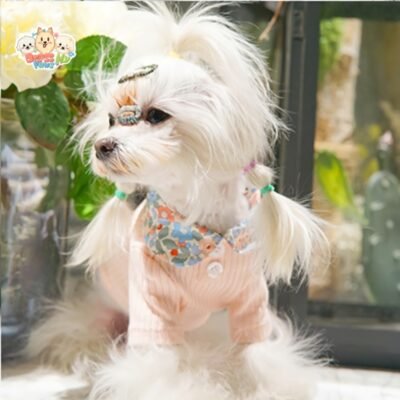 Striped Contrast Dog Vest