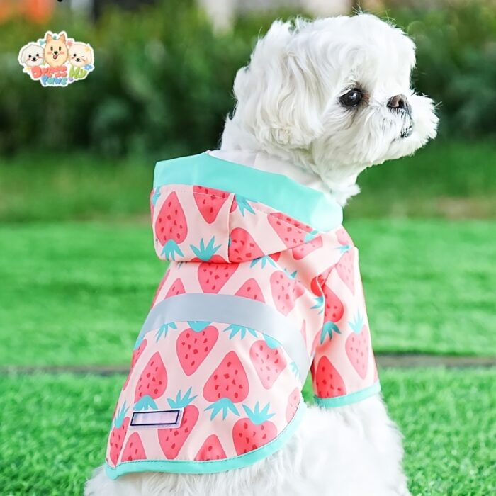 JA2572 60-66 (6) Fruit Print Dog Raincoat