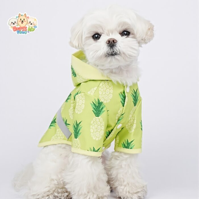 JA2572 60-66 (7) Fruit Print Dog Raincoat