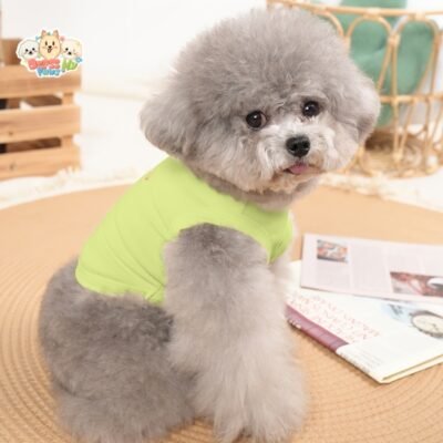 Pet Rabbit Print Shirt