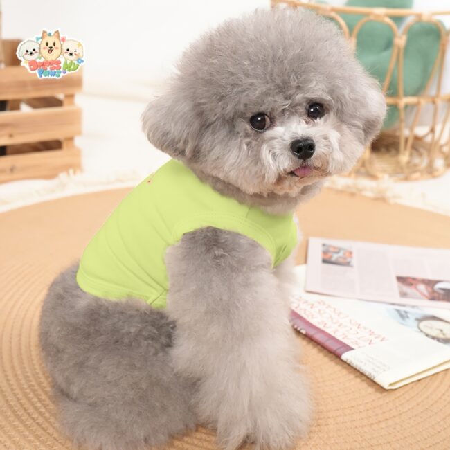 JA2577 97-102 (5) Pet Rabbit Print Shirt rabbit print hundeshirt