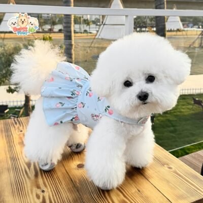 Pet Floral Harness Set