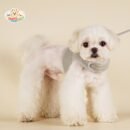 JA2580 38-46 (8) Lamb Wool Chest Harness