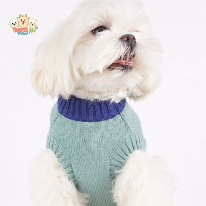 JA2581 24-37 (10) Pet Wool Sweater