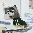 Vintage Sporty Dog Shirt