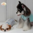 ja2511 77-84 (7) Cooling Pet Shirt for Summer