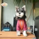 ja2559 174-181 Outdoor Reflective Dog Jacket