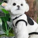 ja2560 123-128 (2) Happy Little Dog Shirt