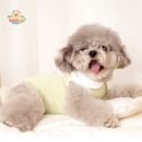 ja2566 146-153 (2) Summer Dog Outfit