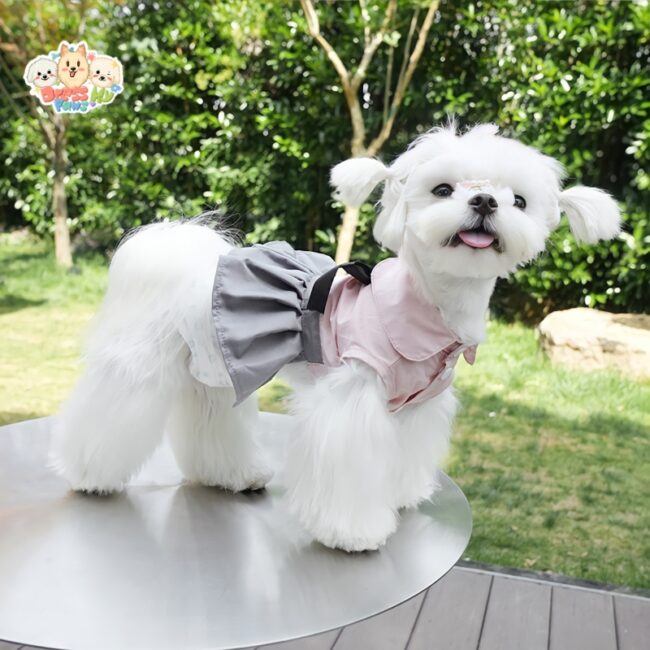 ja2568 162-166 (2) Elegant Bowknot Dog Dress elegantes hundekleid mit schleife