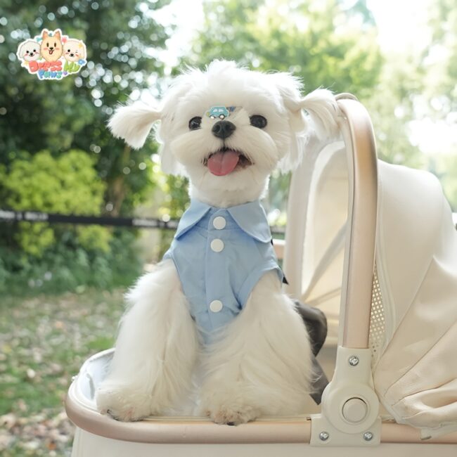 ja2568 162-166 (5) Elegantes Hundekleid mit Schleife
