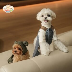 small dog clothes sizing