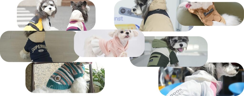 Grid-style image showcasing the best winter dog hoodies