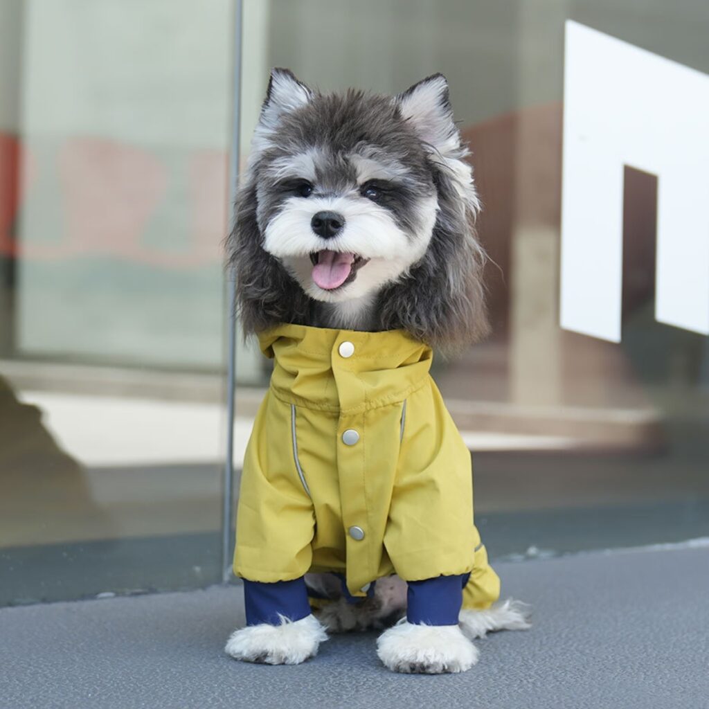Minimalist_ Clean look, neutral tones, aesthetic background dog hoodie
