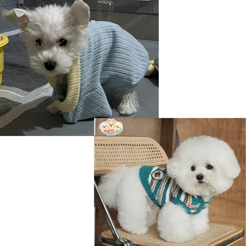 dog hoodie size chart