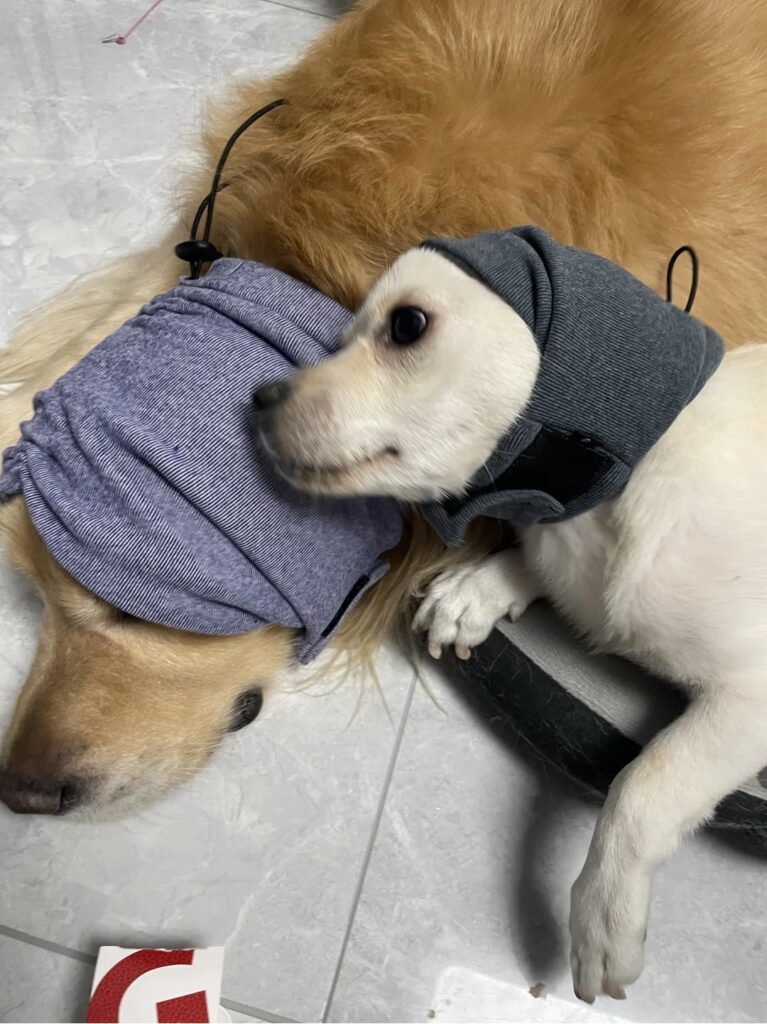 Is the Happy Hoodie Safe