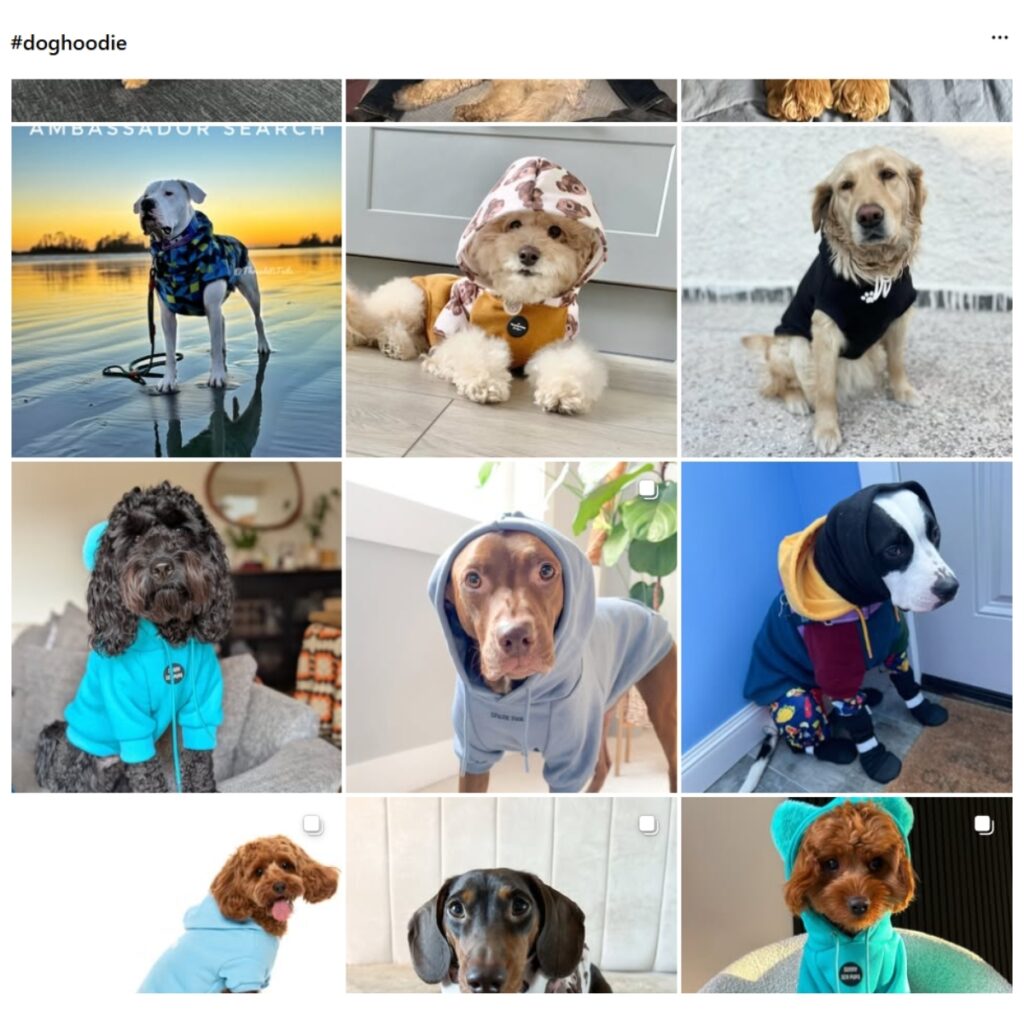Instagram Trends_ Viral Dog Hoodie