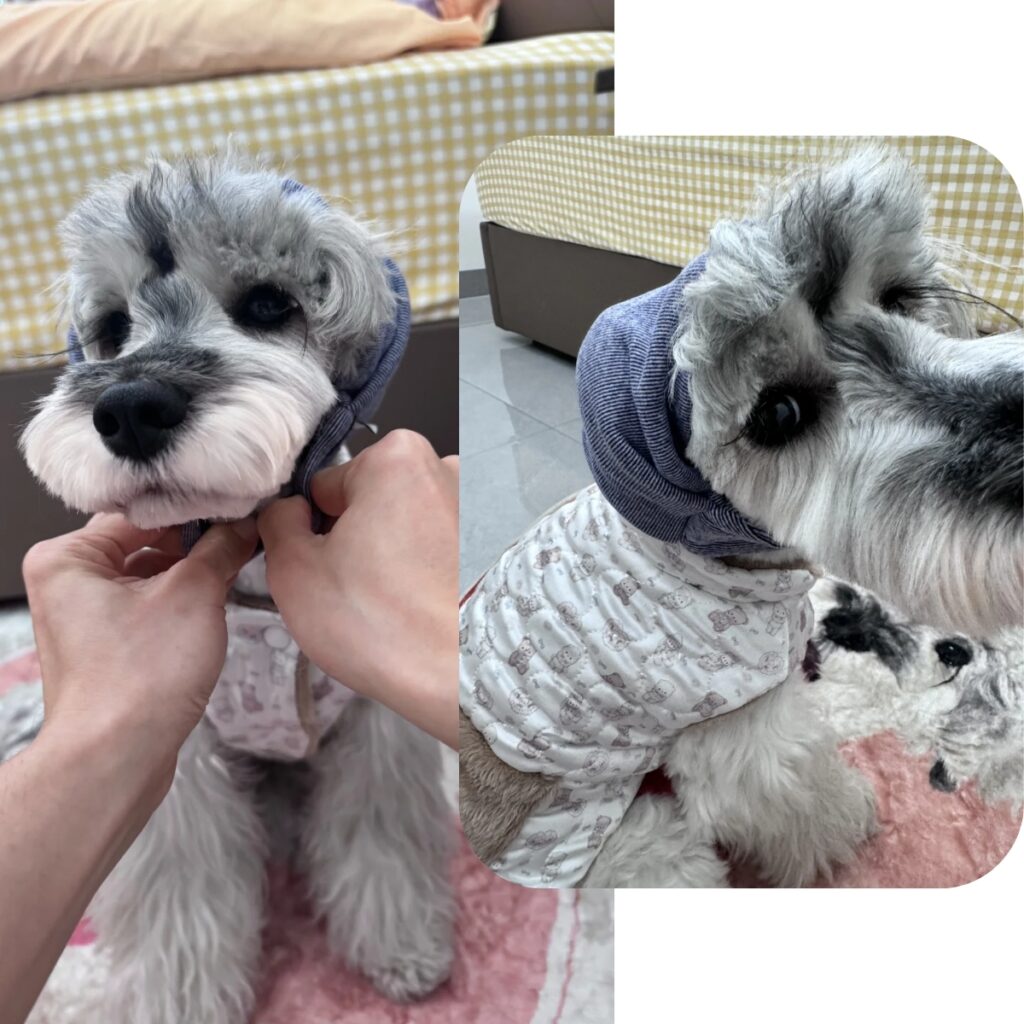 How to Use a Happy Hoodie