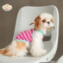 Cozy Bear Stripe Dog Tank Top