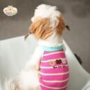 Cozy Bear Stripe Dog Tank Top