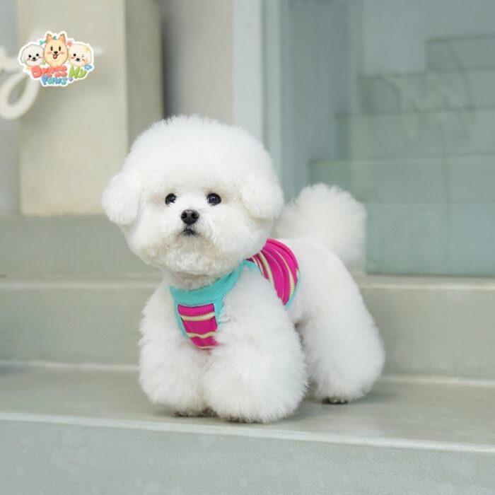 MA2501 1-7 (4) Dog tank top
