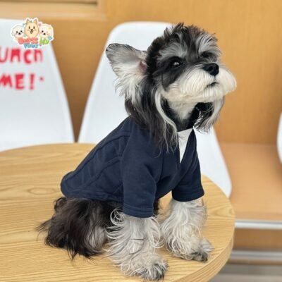 Dog blazer sweatshirt