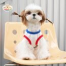 Airy Mesh Funday Dog Vest