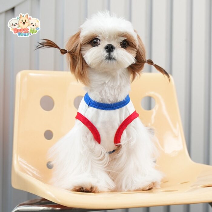 MA2504 30-37 (6) Airy Mesh Funday Dog Vest