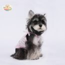 MA2505 38-49 (2) Elegant Lace Bow Dog Dress