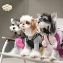 MA2507 60-72 (4) All-Weather Adventure Dog Raincoat