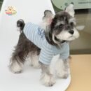 MA2508 73-79 (4) Urban Chic Striped Dog T-Shirt