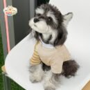 MA2508 73-79 (5) Urban Chic Striped Dog T-Shirt