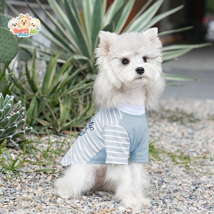 MA2508 73-79 (6) Urban Chic Striped Dog T-Shirt