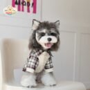 Two-Leg Plaid Dog Shirt