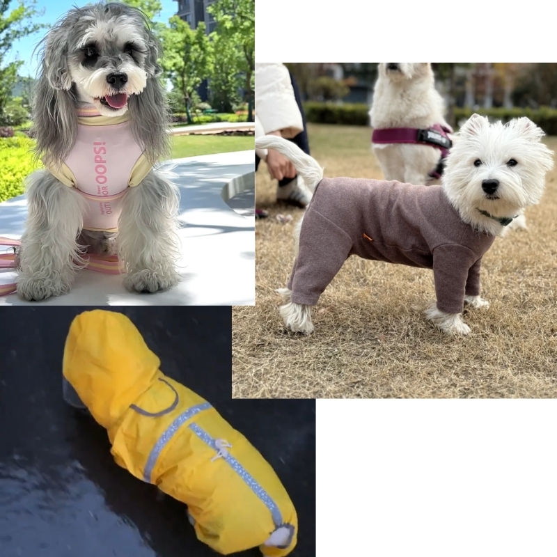 Small Dog Clothes
