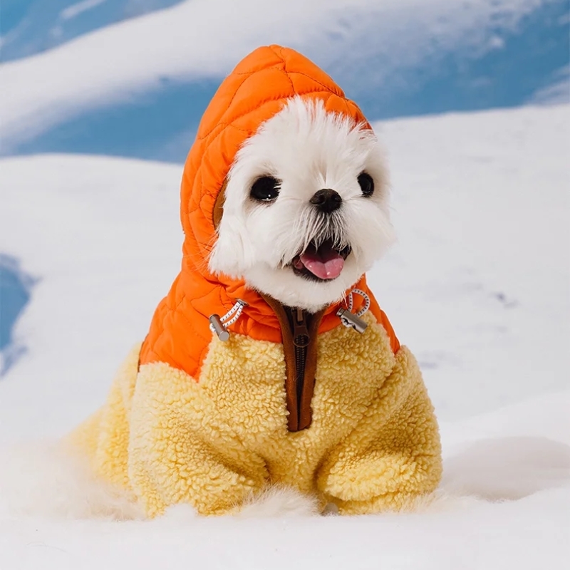 hooded jacket