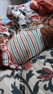 Striped Lace Trim Sling with Cherry Embroidery