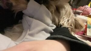 Four-Legged Dog Jumpsuit