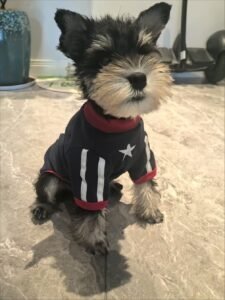 Vintage Sporty Dog Shirt