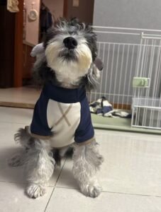 Color-Block Four-Legged Dog Jacket