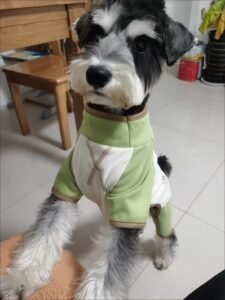 Color-Block Four-Legged Dog Jacket