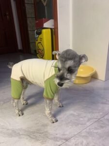 Color-Block Four-Legged Dog Jacket