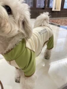 Color-Block Four-Legged Dog Jacket