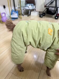 Four-Legged Cotton Dog Jacket